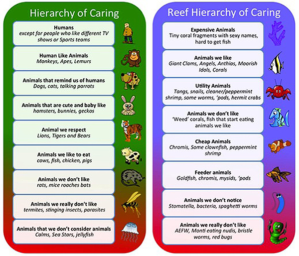 We tend to care more about the well being of animals depending on our emotional attachments to them, as well as their perceived usefulness or danger to us. Placements on the hierarchy will change over time, and everyone does not have the same hierarchy. The above hierarchies are meant to illustrate some of the often unconscious reasoning that determines a creatures place on the hierarchy.